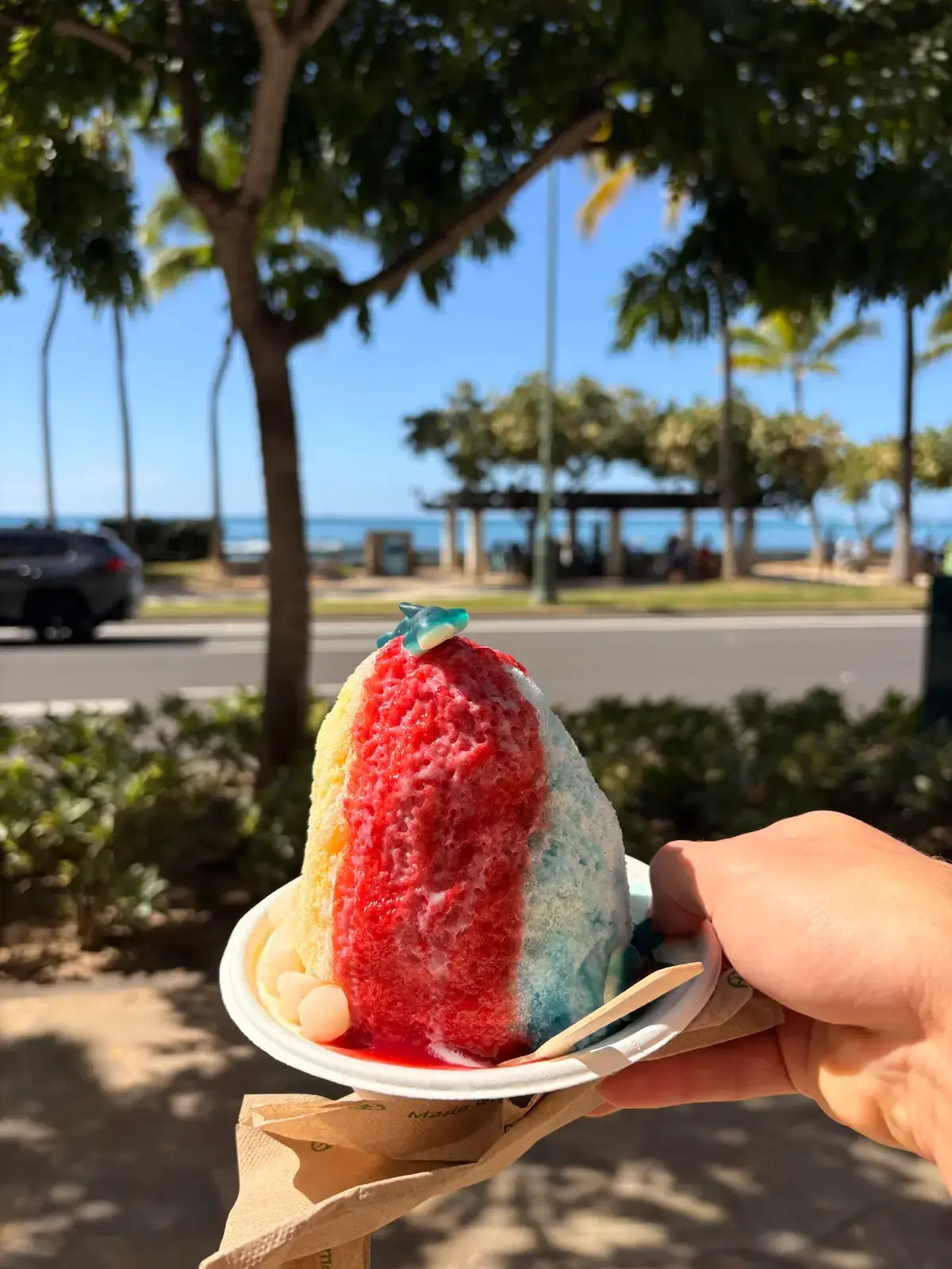 Shark Bait shave ice held up with Waikiki ocean palm trees and blue sky in background