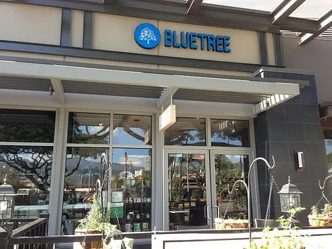 Bluetree Cafe Kapiolani - Photo 2 of 4 | NateEatsHawaii restaurant gallery and food photos from Oahu, Hawaii