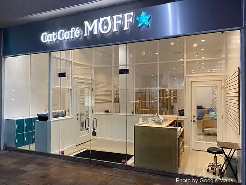 Cat Café MOFF Pearlridge Center - Photo 2 of 4 | NateEatsHawaii restaurant gallery and food photos from Oahu, Hawaii