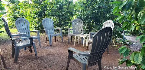 Green World Coffee Farm - Photo 2 of 4 | NateEatsHawaii restaurant gallery and food photos from Oahu, Hawaii