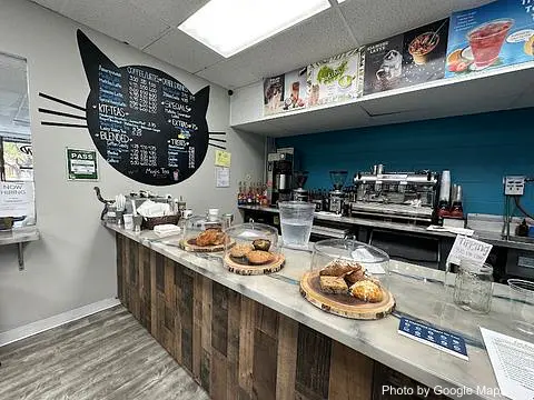 Hawaii Cat Cafe - Photo 2 of 4 | NateEatsHawaii restaurant gallery and food photos from Oahu, Hawaii