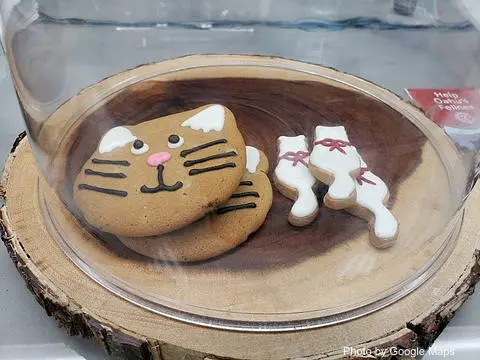 Hawaii Cat Cafe - Photo 3 of 4 | NateEatsHawaii restaurant gallery and food photos from Oahu, Hawaii