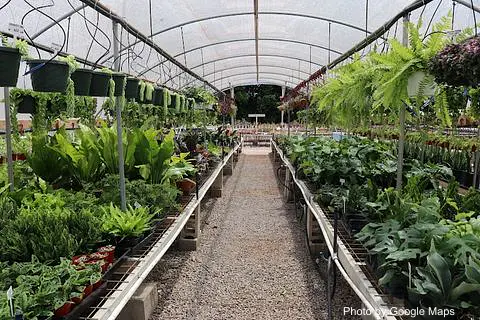 Mari's Gardens - Photo 3 of 4 | NateEatsHawaii restaurant gallery and food photos from Oahu, Hawaii