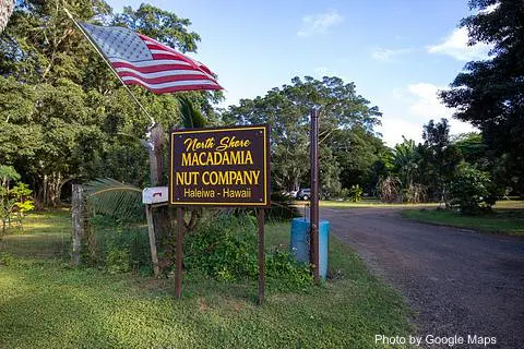 North Shore Macadamia Nut Company - Photo 3 of 4 | NateEatsHawaii restaurant gallery and food photos from Oahu, Hawaii