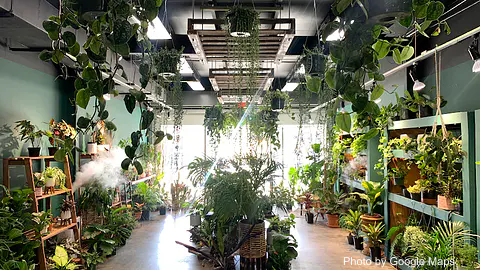 Plantoem - Photo 3 of 4 | NateEatsHawaii restaurant gallery and food photos from Oahu, Hawaii
