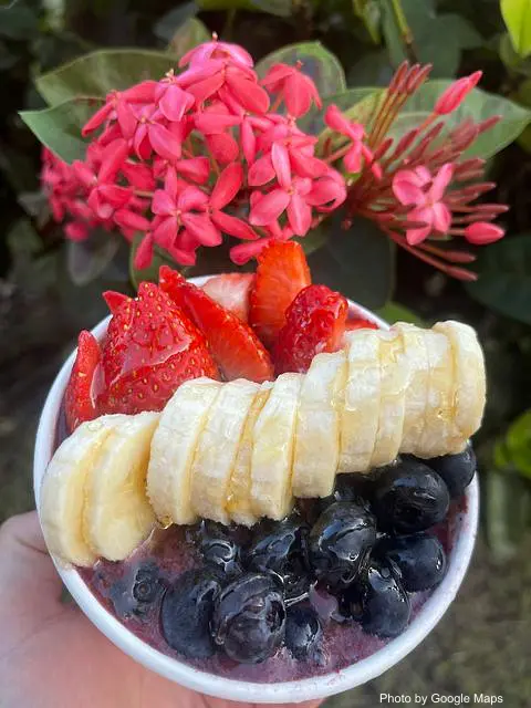 Tea Cafe - Photo 3 of 4 | NateEatsHawaii restaurant gallery and food photos from Oahu, Hawaii