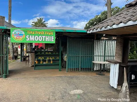 Tina Fresh Fruit smoothie - Photo 2 of 4 | NateEatsHawaii restaurant gallery and food photos from Oahu, Hawaii