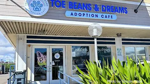 Toe Beans & Dreams Adoption Cafe - Photo 2 of 4 | NateEatsHawaii restaurant gallery and food photos from Oahu, Hawaii