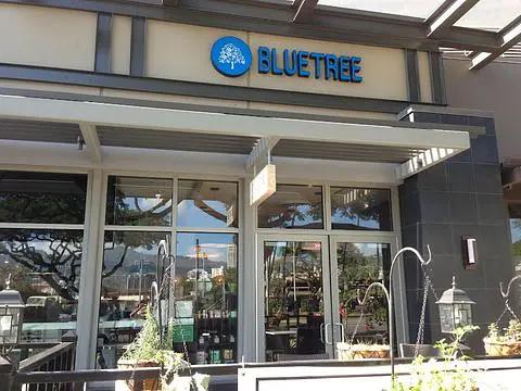 Bluetree Cafe Kapiolani - Photo 2 of 4 | NateEatsHawaii restaurant gallery and food photos from Oahu, Hawaii