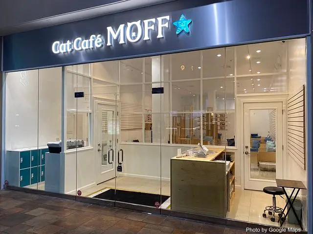 Cat Café MOFF Pearlridge Center