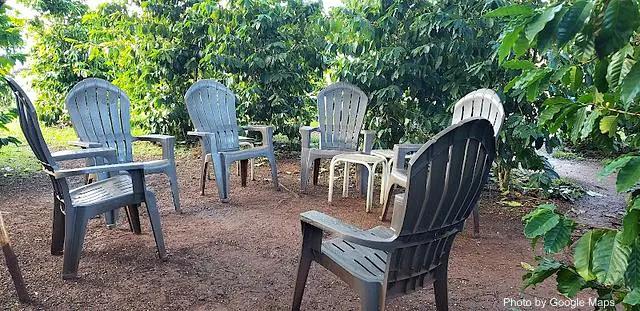 Green World Coffee Farm