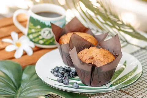 Honolulu Coffee at Ala Moana - Photo 2 of 6 | NateEatsHawaii restaurant gallery and food photos from Oahu, Hawaii