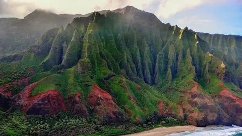 Juicy Life Hawaii