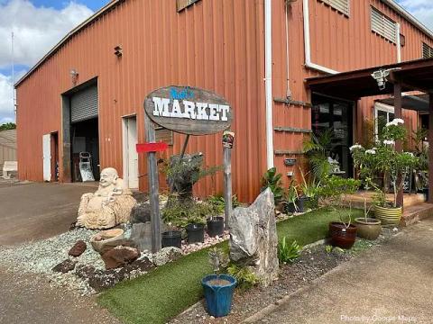 Mari's Gardens
