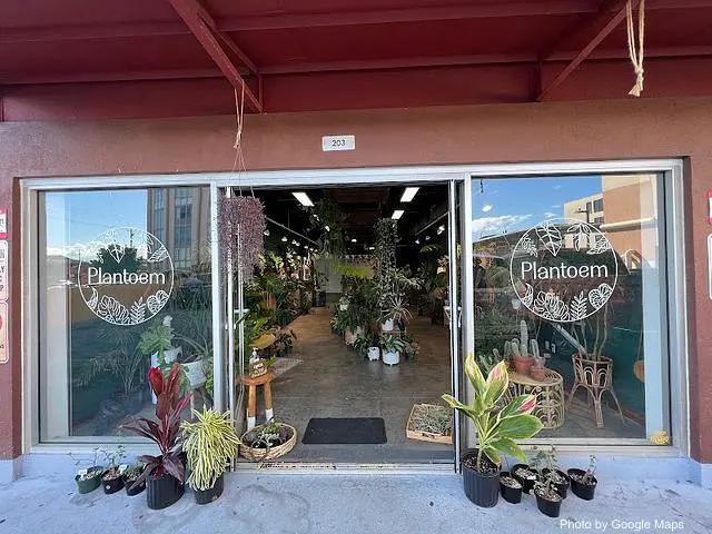 Plantoem