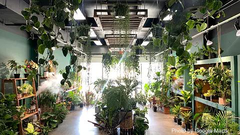 Plantoem - Photo 3 of 4 | NateEatsHawaii restaurant gallery and food photos from Oahu, Hawaii